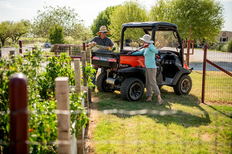 véhicules utilitaires kubota RTV 520